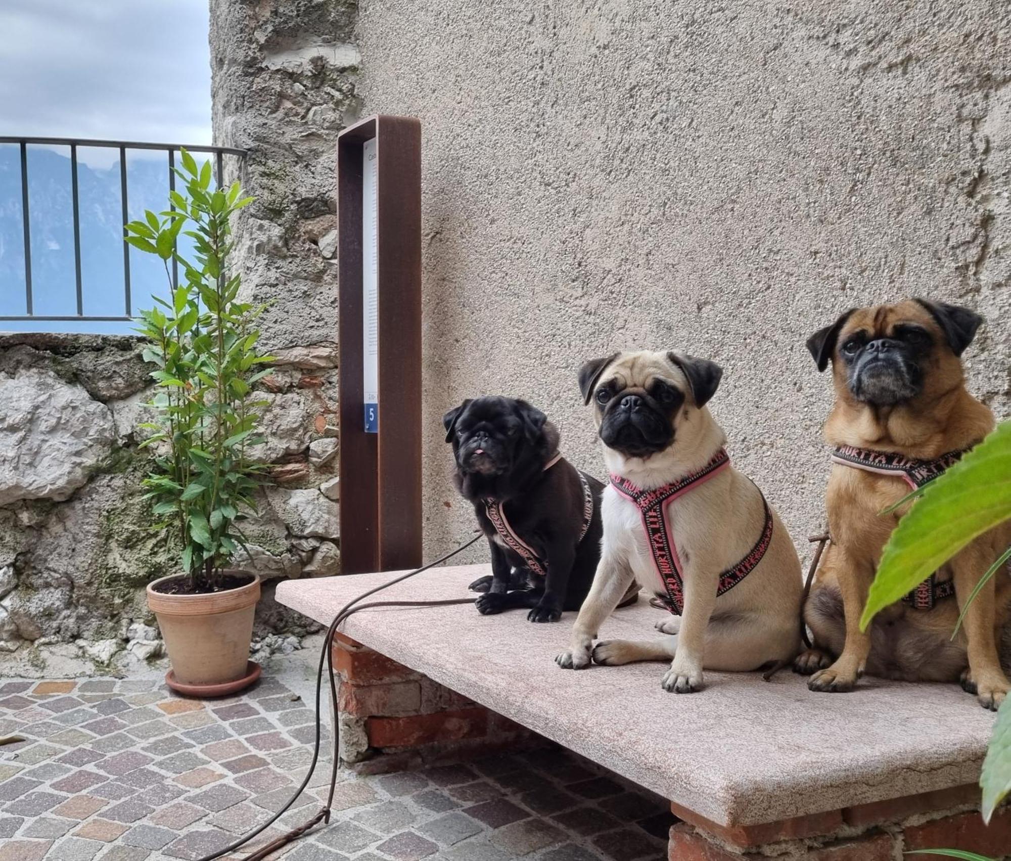 Locanda Al Castelletto Tremosine Luaran gambar